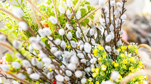 Close-up of a spring bouquet with pussy willow branches and other spring flowers in a basket. Palm Sunday, Easter