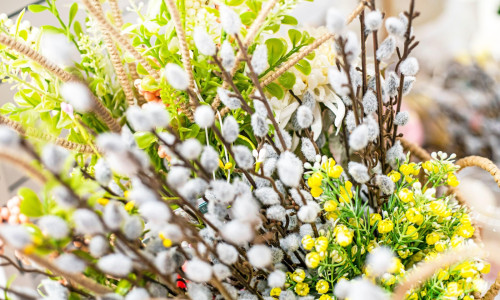 Close-up of a spring bouquet with pussy willow branches and other spring flowers in a basket. Palm Sunday, Easter