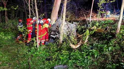 Doi tineri de 20 de ani au murit după ce mașina lor s-a izbit de un copac