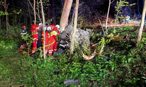 Doi tineri de 20 de ani au murit după ce mașina lor s-a izbit de un copac