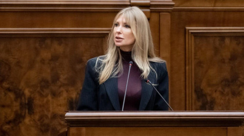 Victoria Stoiciu PSD