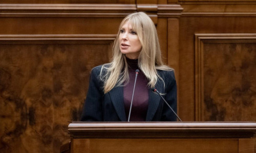 Victoria Stoiciu PSD