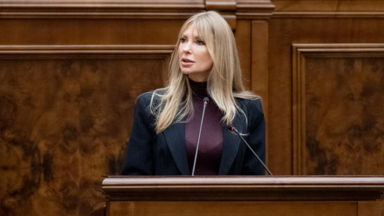 Victoria Stoiciu PSD