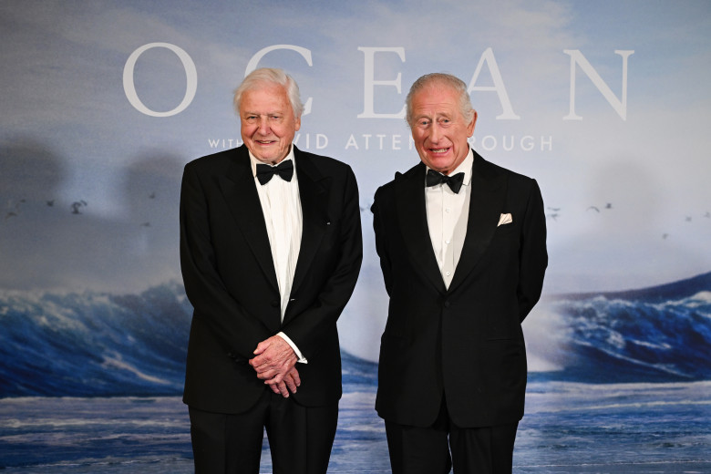"Ocean With David Attenborough" World Premiere