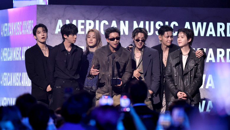 52nd American Music Awards - Show
