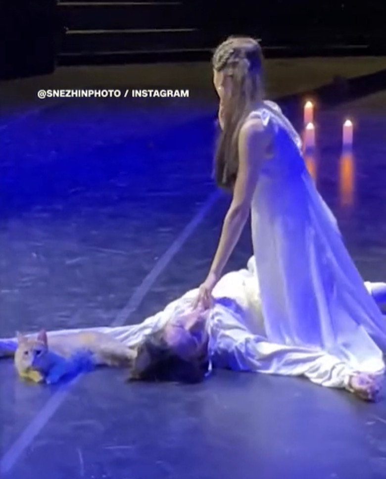 pisica pe scena la romeo si julieta (3)