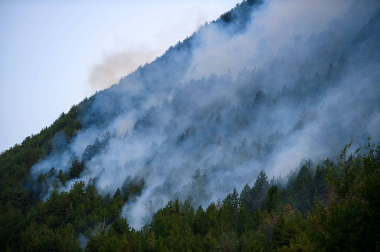 incendii de vegetatie franta