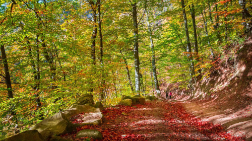 România, toamna