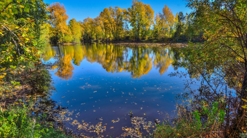 Golden foliage of fall trees around the lake reflected in blue water - autumn picturesque landscape at warm sunny september weather with clear blue sk
