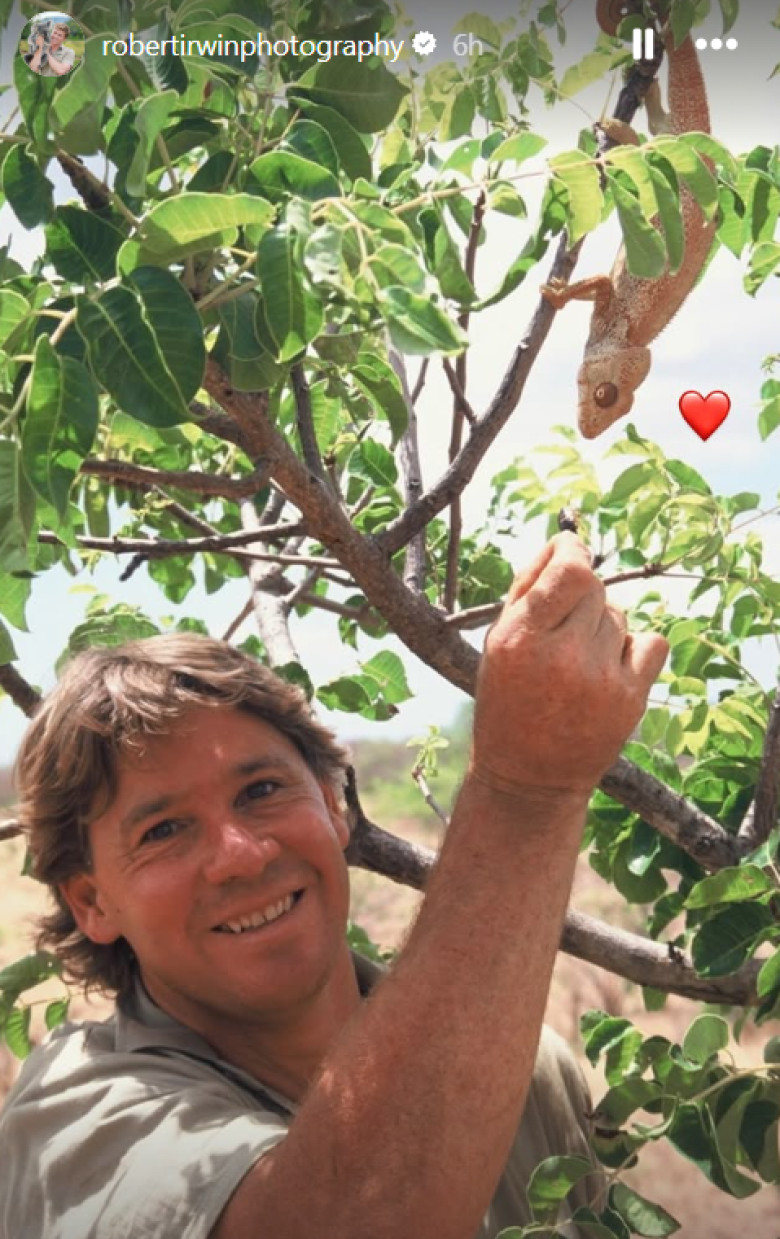 Steve Irwin (2)