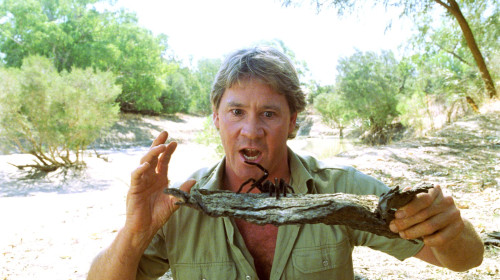 Steve Irwin (2)