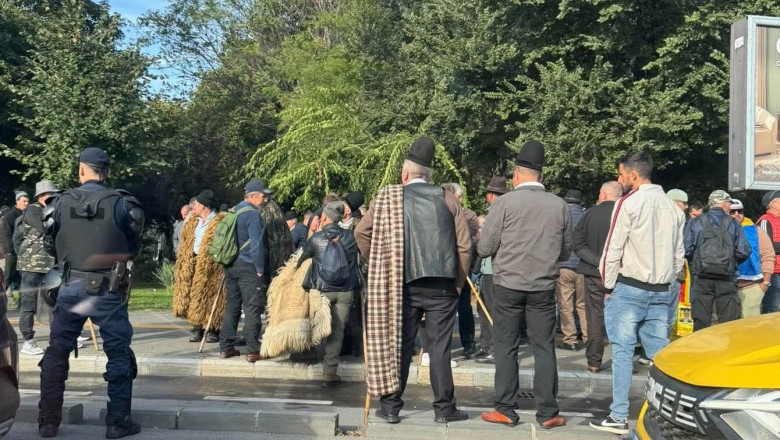 protest ciobani