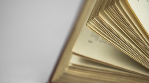 dictionar, carte