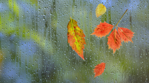 meteo (8)