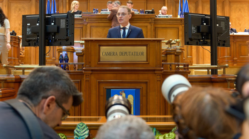 Luca Niculescu