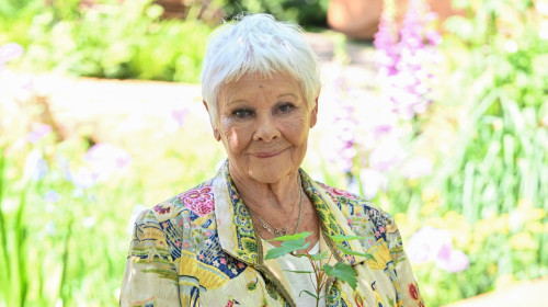 The RHS Chelsea Flower Show - Press Day