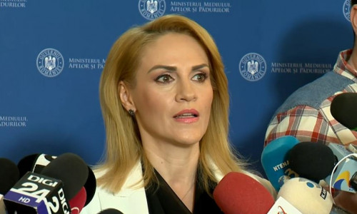 Gabriela Firea