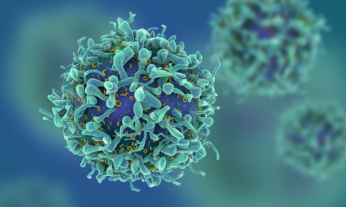 T-Cell, celulă imunitară anti-cancer
