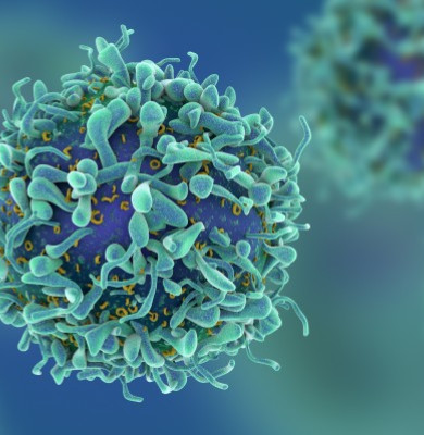 T-Cell, celulă imunitară anti-cancer