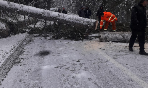 WhatsApp Image 2020-02-05 at 18.16.05