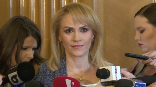 Gabriela Firea