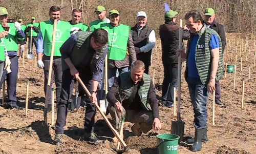 iohannis plantare copaci