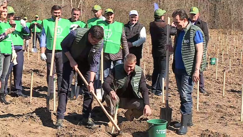 iohannis plantare copaci