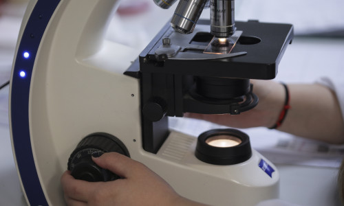 coronavirus ID133793_INQUAM_Photos_Octav_Ganea