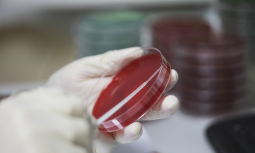 coronavirus ID133805_INQUAM_Photos_Octav_Ganea