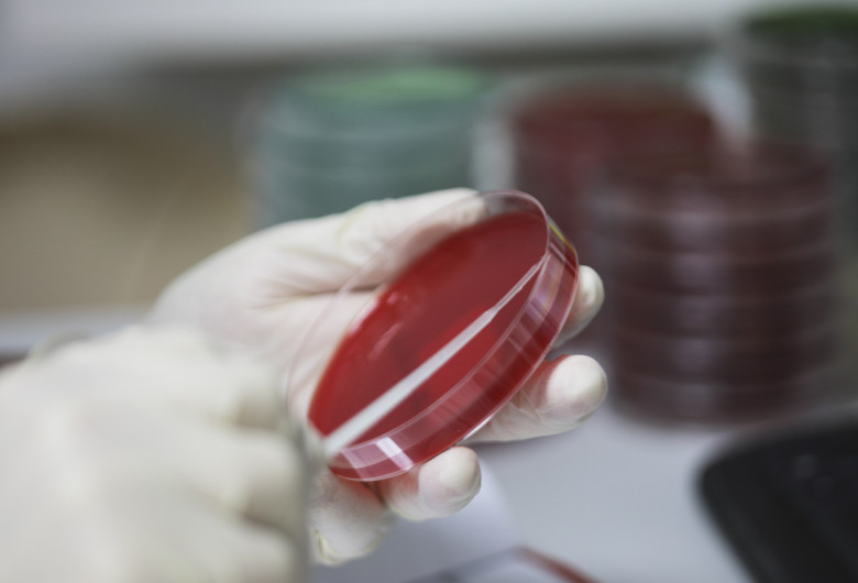 coronavirus ID133805_INQUAM_Photos_Octav_Ganea