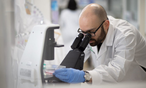 Cercetător de laborator, medic, microscop