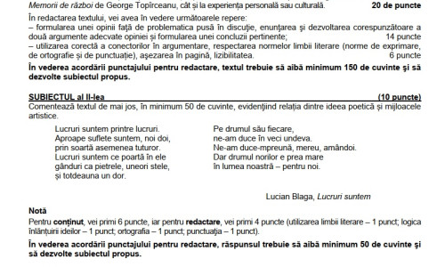 Modele de subiecte Limba Română, teste