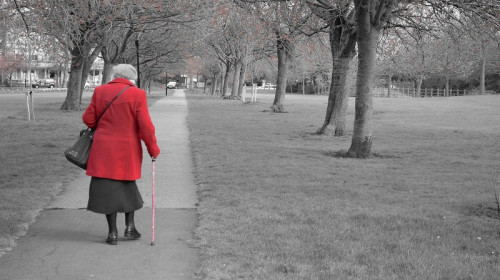 Bătrână se plimbă pe alee, vârstnică, pensionară, babă