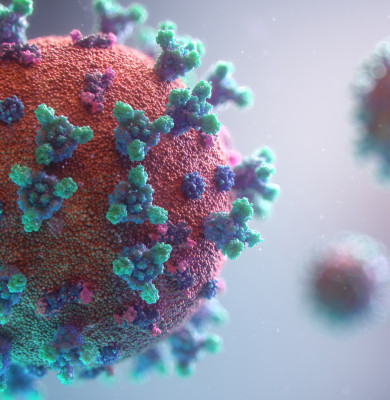 Coronavirus, COVID-19, virus