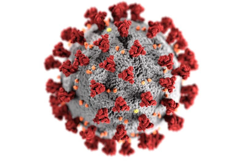 Coronavirus, COVID-19