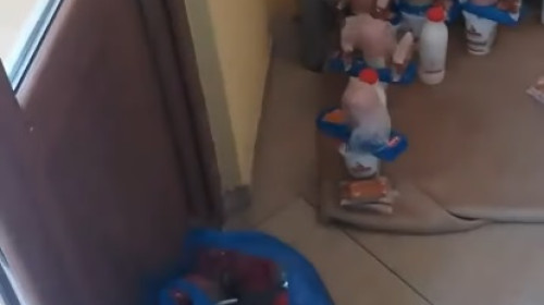 Mâncare pusă pe jos lângă un coș de gunoi