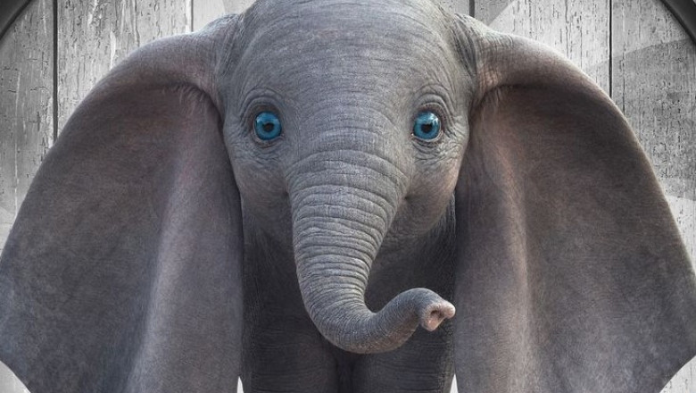 Elefantul Dumbo