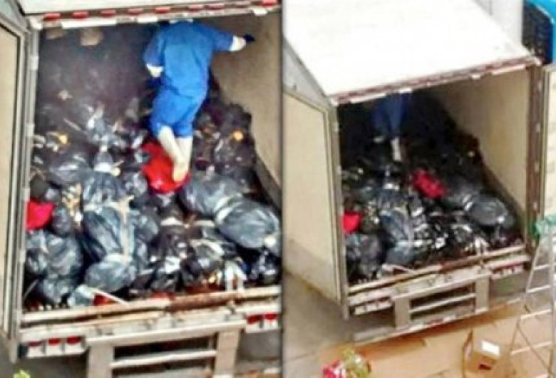 foto-cadavre
