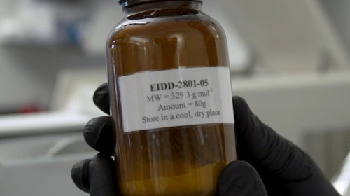 Medicamentul EIDD-2801 pentru coronavirus