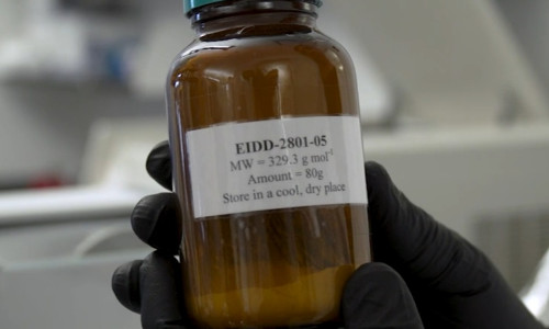 Medicamentul EIDD-2801 pentru coronavirus
