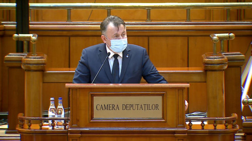 Nelu Tătaru