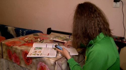 Teleșcoală, elevă care învață acasă, educație, elevi, învățământ acasă
