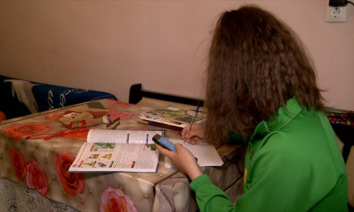 Teleșcoală, elevă care învață acasă, educație, elevi, învățământ acasă