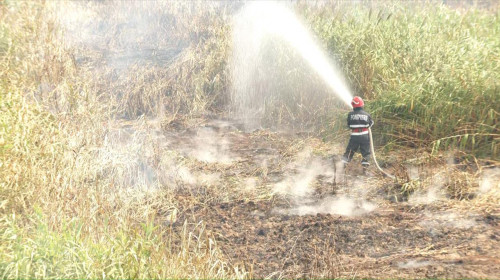 Pompier stinge un incendiu pe un câmp, recoltă, mistuit, foc