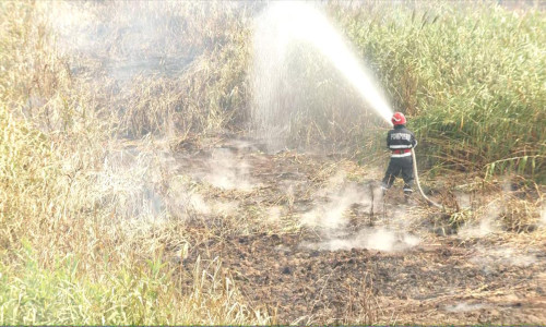 Pompier stinge un incendiu pe un câmp, recoltă, mistuit, foc