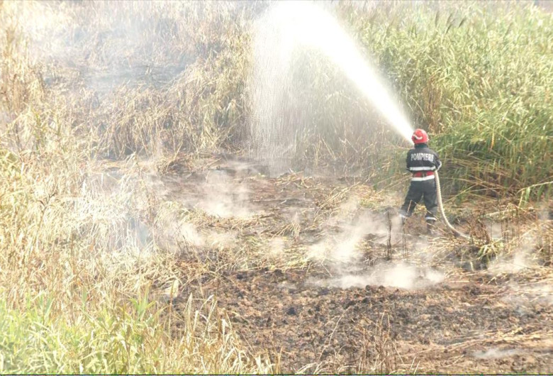 Pompier stinge un incendiu pe un câmp, recoltă, mistuit, foc