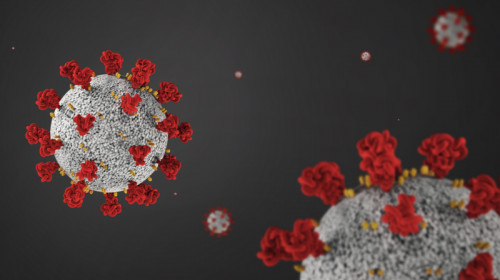 Coronavirus, COVID-19, SARS-CoV-2 cu roșu