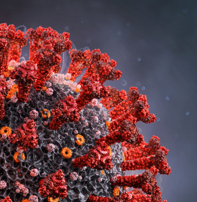 COVID-19, coronavirus, SARS-CoV-2 cu roșu