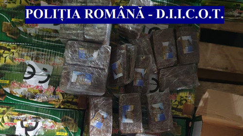 drogur diicpt