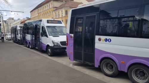 Microbuze școlare în Timiș